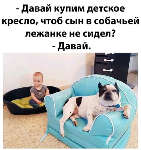 давай купим детское кресло чтоб сын в собачьей лежанке не сидел