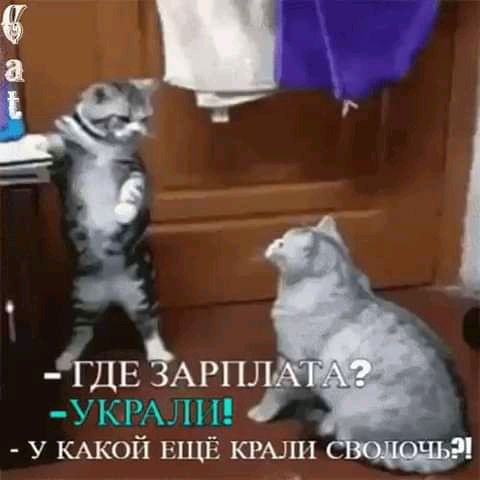 ГДЕЁАРП УКРЛ у КАКОЙ ЕЩЁ крыш