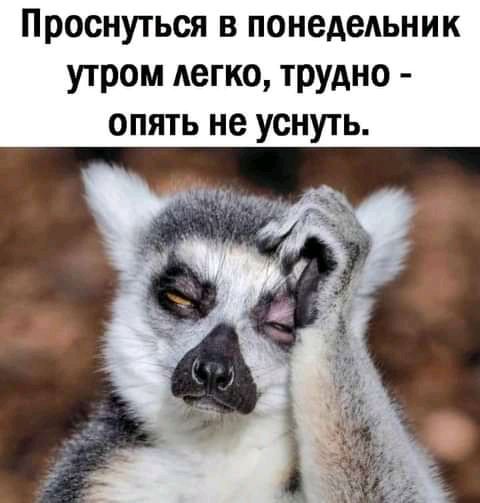 Проснуться в понедельник утром легко трудно опять не уснуть
