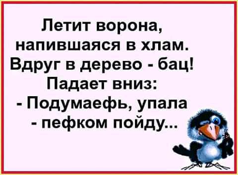 Летит ворона напившаяся в хлам Вдруг в дерево бац Падает вниз Подумаефь упала пефком пойду