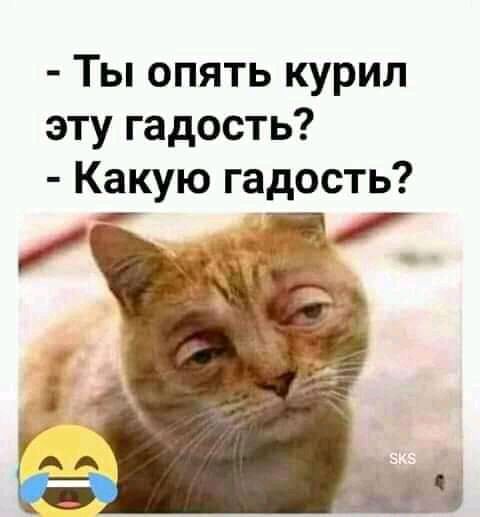 Ты опять курил эту гадость Какую гадость