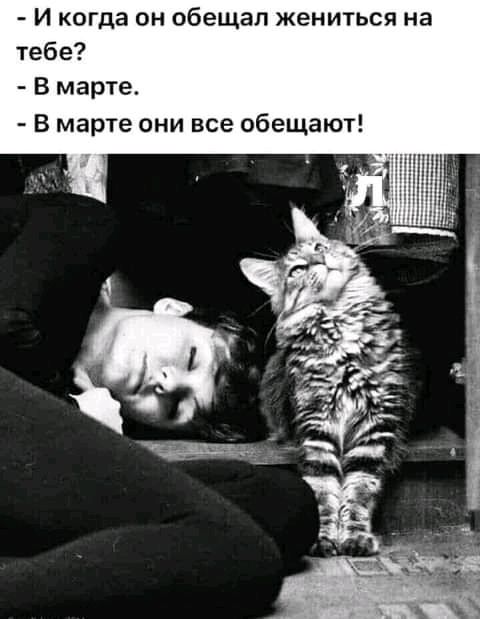 И когда он обещал жениться на тебе В марте В марте они все обещают