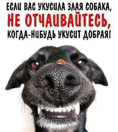 ЕСМ ВАО УКУММА 3ААЯДОБАКА ЦЗ щ М Ь когдд нивудь укусит довмя