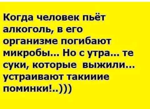 петри ч_ _