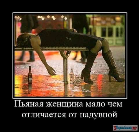 Пьяная женщина мало чем отличается от надувной 3 щ