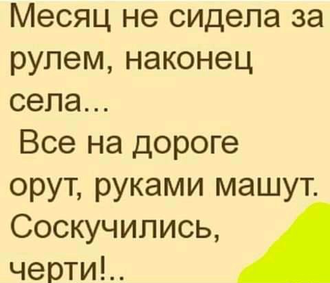 Месяц не сидела за рулем наконец села Все на дороге орут руками машут Соскучились черти