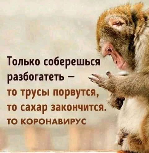 Только соберешься разбогатеть то трусы порвутш то сахар закончится ТО КОРОНАВИРУС