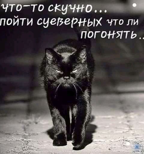 чтото скучно пойти суеВернЫХ что ли погонять Ё