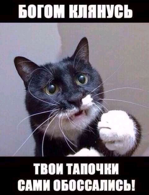 БВПШ ШШШ ШП ТМШЧШ ШШ ШБМЮМШБЫ