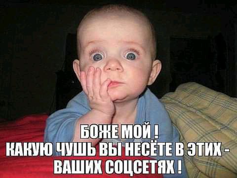 мидии вице ШШ