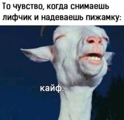 ТО ЧУВСТВО КОГДЗ снимаешь ЛИФЧИК И НЗДЕВЗЕШЬ ПИЖЗМКУ