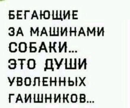 БЕГАЮЩИЕ ЗА МАШИНАМИ СОБАКИ ЭТО ДУШИ УВОЛЕННЫХ ГАИШНИКОВ