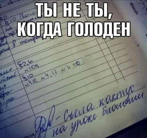 ты низ ты кцгдд гпппдЕн