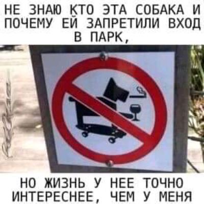 НЕ ЗНАЮ КТО ЭТА СОБАКА И ПОЧЕМУ ЕИ ЗАПРЕТИЛИ ВХОД В ПАРК НО ЖИЗНЬ У НЕЕ ТОЧНО ИНТЕРЕСНЕЕ ЧЕМ У МЕНЯ