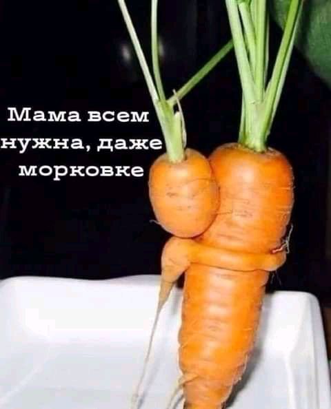 Мама всем нужна даже морковке