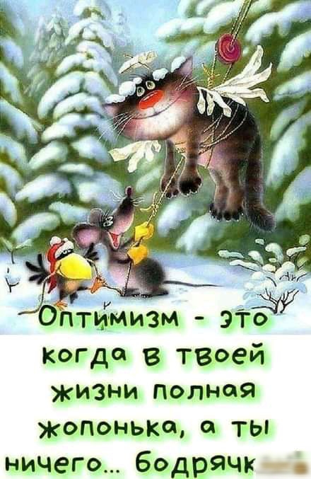 кота в твоей жизни полная жопнька а ты ничего бодрячк