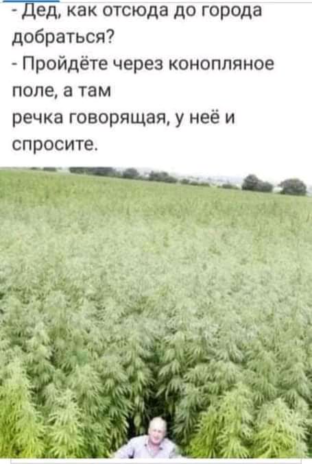 Де_д как отсюда до города добраться Пройдёте через коноппяное поле а там речка говорящая у неё и спросите