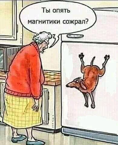 Ыщ ТН г В М