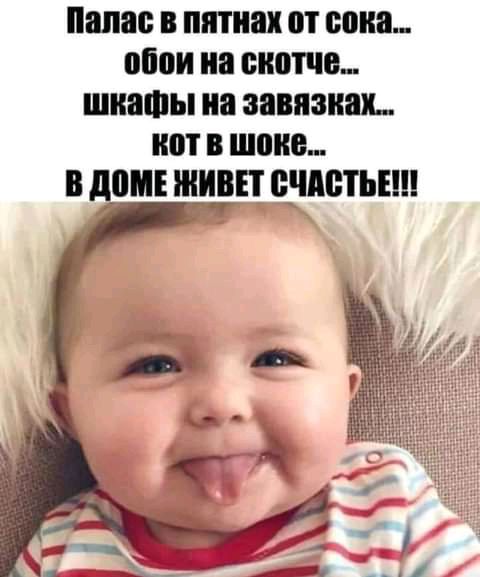 Палас в пятнах от вона обои на скотча шиашы иа завязках кот в шине в дом ЖИВЕТ сндетьнн