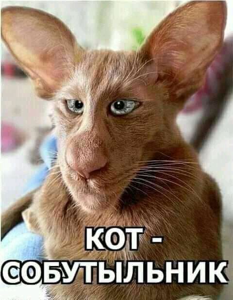 ЫЛЬНИЮ