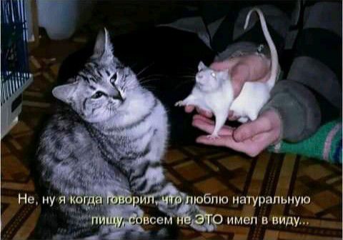 блю на рвпьную ей и ввиду ь