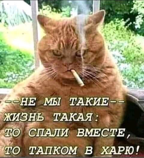 кгб сдали ВМЕСТЕ то ТАЛКОМ в 19