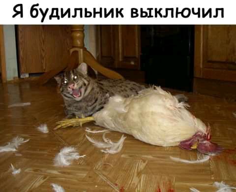 Я будильник выключил