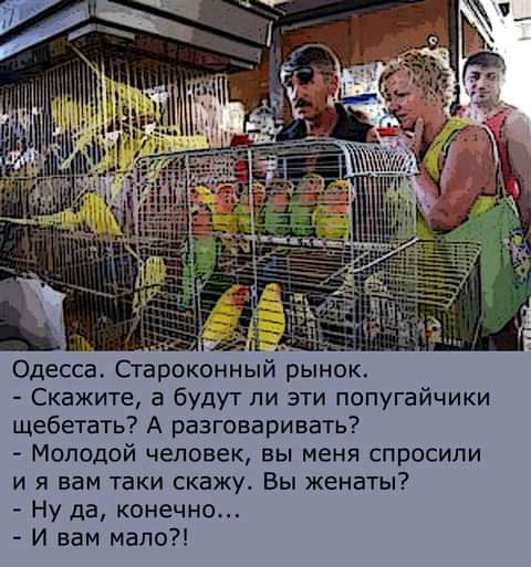 Одесса Староконныи рынок Скажите 3 будут ли эти попугайчики щебетать А разговаривать Молодой человек вы меня спросили и я вам таки скажу Вы женаты Ну да конечно И вам мало