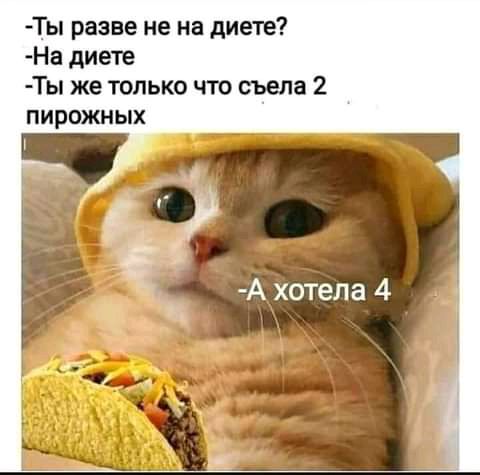 Ты разве не на диете На диете Ты же только что съела 2 пирожных А хотела 4