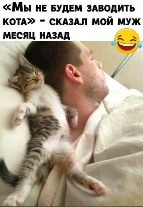 Мы НЕ БУДЕМ ЗАВОдИТЪ КОТА СКАЗАЛ МОЙ МУЖ МЕСЯЦ НАЗАД