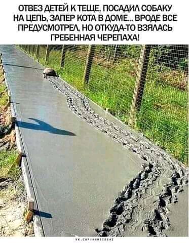 ОТВЕЗ ДЕГЕЙ И ТЕЦЕ ПОСАДИЛ СОБАКУ Нд ЦЕПЬ ЗАПЕР КОТА ВАОМЕ ВРОДЕ ВСЕ ПРЕДУСМОТРЕА НО ОТКУДАТО ВЗЯМСЬ ГРЕБЕННАП ЧЕРШАХА
