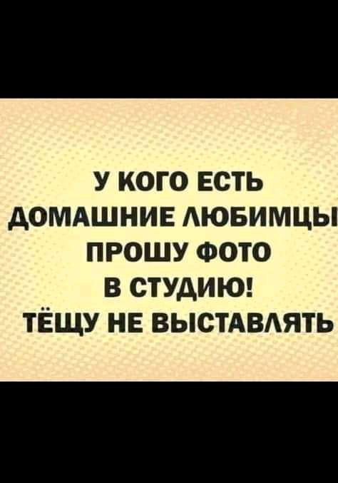 У КОГО ЕСТЬ домдшнив АЮБИМЦЫ прошу ФОТО в СТУдИЮ ТЁЩУ не выстдвдять