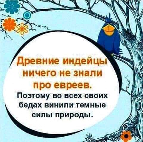 ПОЭТОМУ ВО всех СВОИХ бедах ВИНИПИ темные СИЛЫ природы