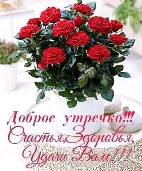 ис п и и ЁМ т7_ ЭАГГМЬЛКс 3005 7