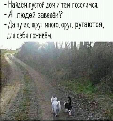 Найдём пустой дом и там поселимся А людей завелём Да ну их жрут много оруг ругаются для себя поживём