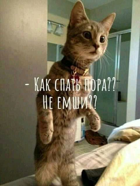 КАК ПАЁ ЁЁ НЕ ЕМЁ _ и