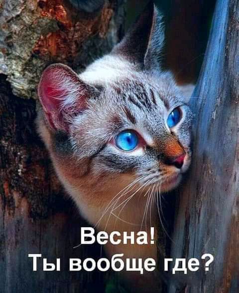 Ты вообще где