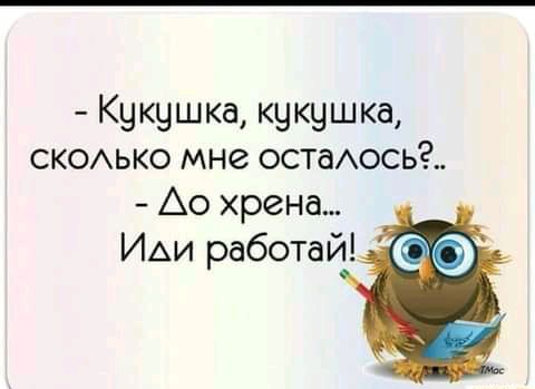 Кукушка кукушка сксько мне остаось Ао хрена ИАИ работай