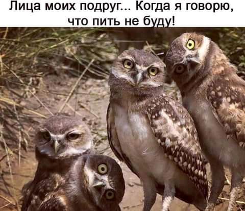 Лица моих подру Когда я говорю что пить не 6 д