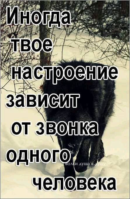 Инэцю МТВЭЁ настрэение завИсит отёвэнка Одногэ чепавека