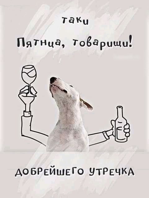 так ПяТнцд Товарищи доБРЕЙШЕГо НТРЕЧКА