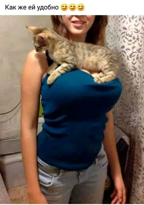 Как же ей удобно