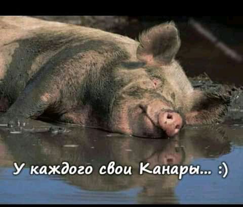 _ У каждого сбои к ЁРЫ