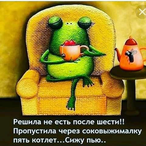 Решила не есть после шести Пропустипа через соковыжималку пять котлетСижу пью