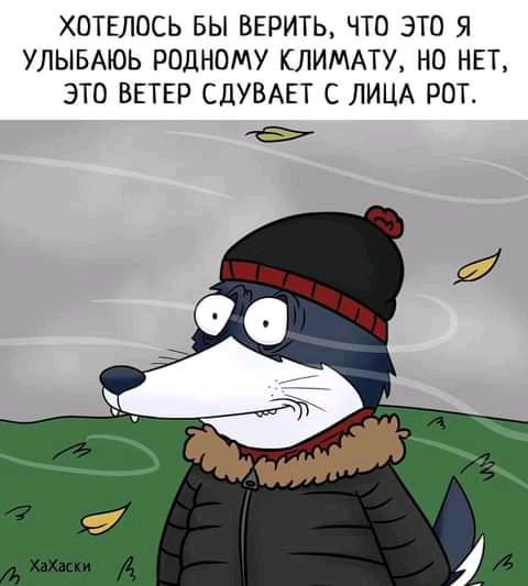ХОТЕЛОСЬ БЫ ВЕРИТЬ ЧТО ЭТО Я УЛЫБАЮЬ РОДНОМУ КЛИМАТУ НО НЕТ ЭТО ВЕТЕР СЦУВАЕТ С ЛИЦА РОТ
