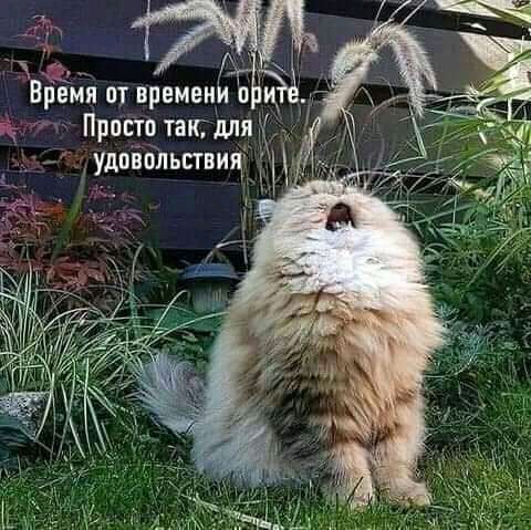 ремя от времен о я 5 Просто так для