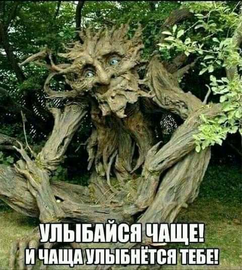 тызажгді