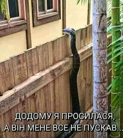 Додому я Просили А ВН МЕНЕ ВСЕ НЕ ПУг