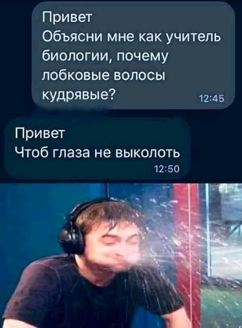 Привет Объясни мне как учитель биологии почему лобковые волосы КУдрявые 1245 Привет Чтоб глаза не выколоть 1250