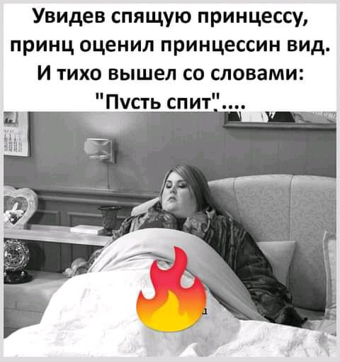 Увидев спящую принцессу принц оценил принцессин вид И тихо вышел со словами Пусть спит